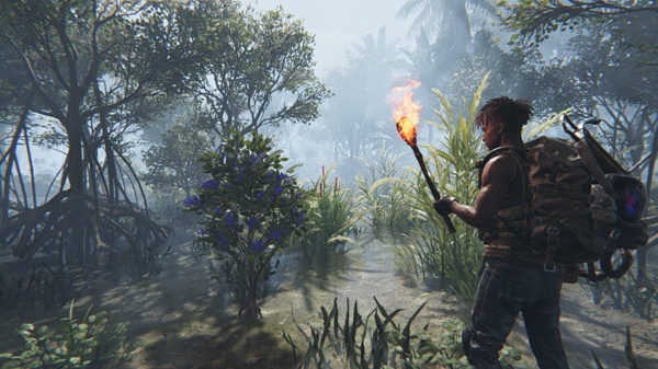 七日世界国际服