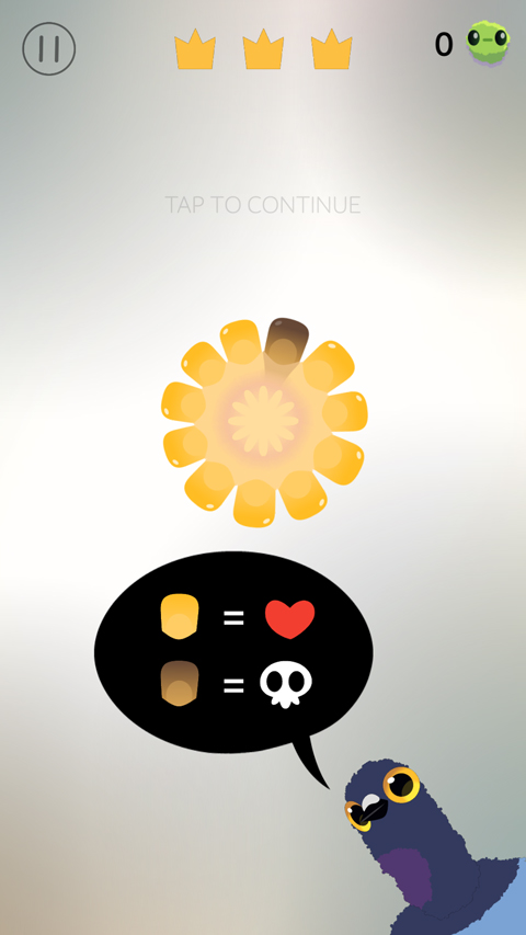 疯狂的鸽子最新版