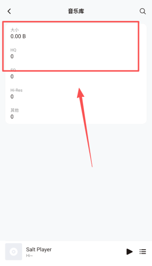 椒盐音乐播放器