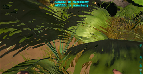 方舟生存进化2.0