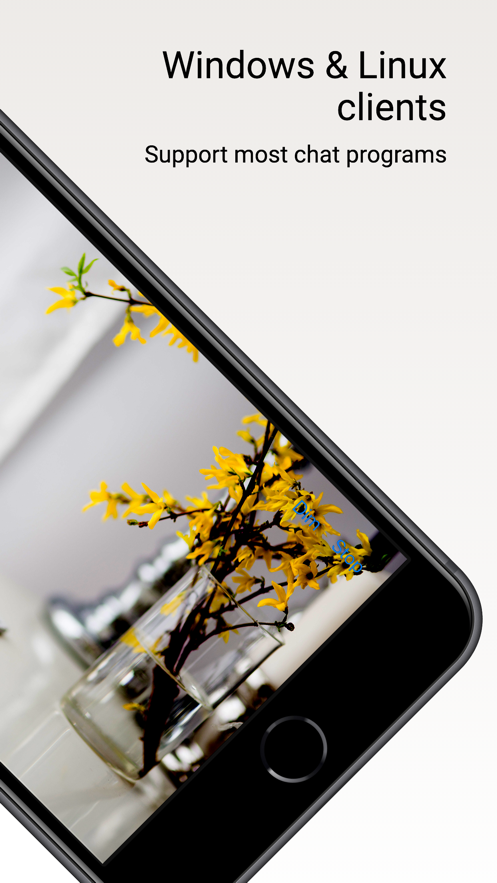 Droidcam中文版截图3