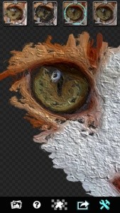 Glaz安卓版截图1