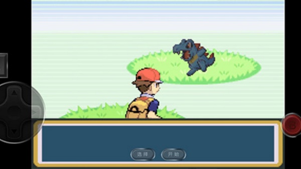 口袋妖怪叶绿汉化版