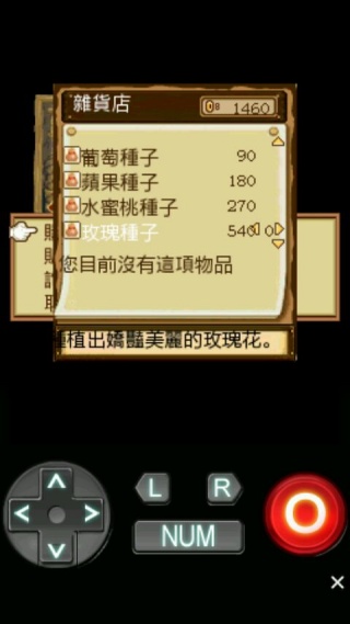 庄园物语2恋爱季节