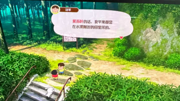 蜡笔小新煤炭镇的小白