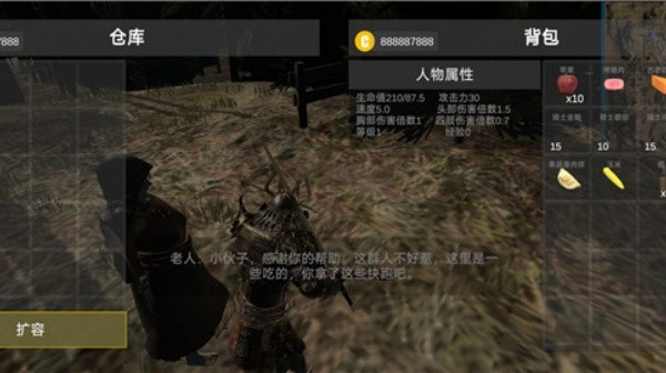 凡尔赛法环截图0