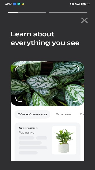 俄罗斯引擎浏览器