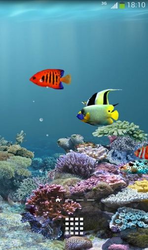水族馆动态壁纸