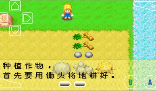 牧场物语女孩版