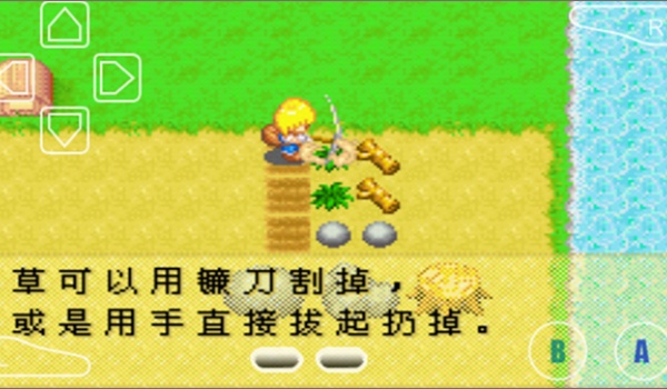 牧场物语女孩版