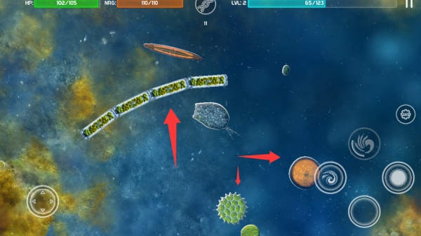 美味星球1中文版