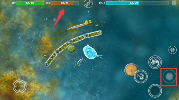 美味星球1中文版