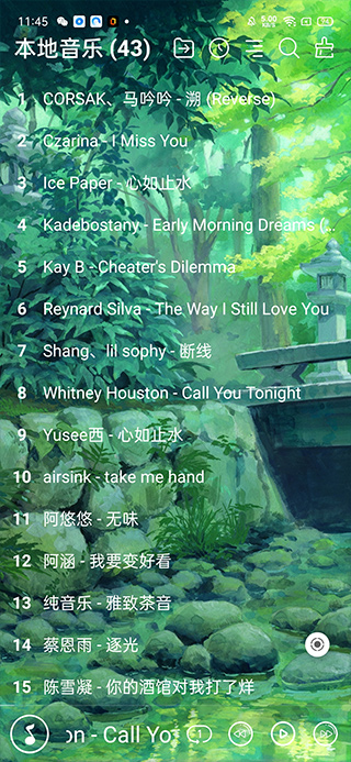 本地音乐播放器专业版