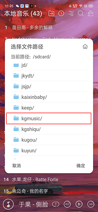 本地音乐播放器专业版