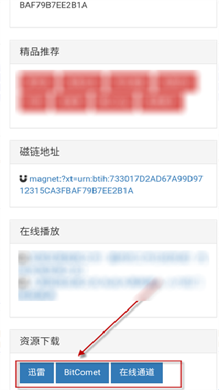 磁力熊猫搜索引擎