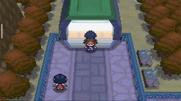 口袋妖怪超透黑2截图1