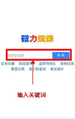 磁力蜘蛛搜索