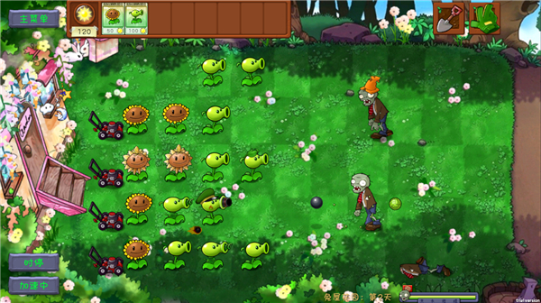 植物大战僵尸共生版最新版
