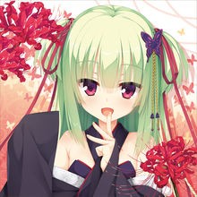 千恋万花galgame