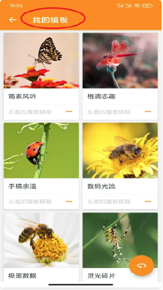 极简排版助手
