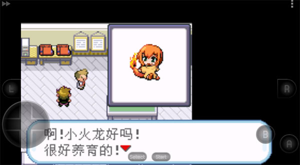 口袋妖怪混乱世界