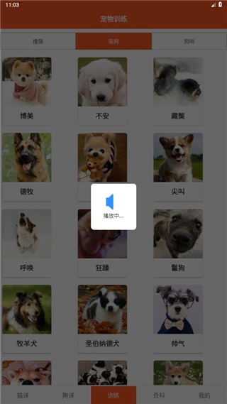 汪汪猫狗翻译器