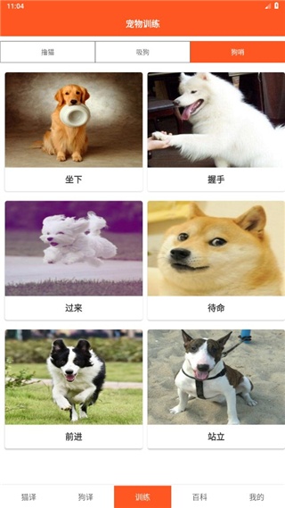 汪汪猫狗翻译器