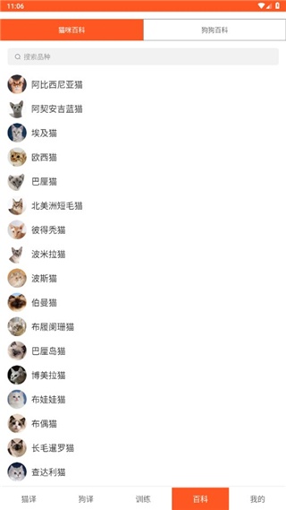 汪汪猫狗翻译器