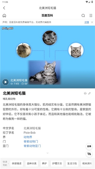 汪汪猫狗翻译器