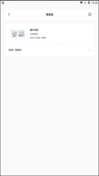迷你兔子