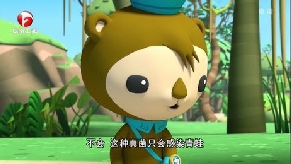 金刚tv