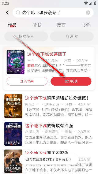 小说阅读王