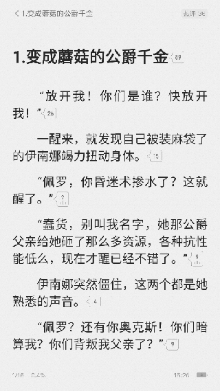 小说阅读王