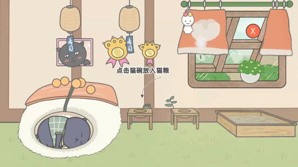 主播和猫的故事