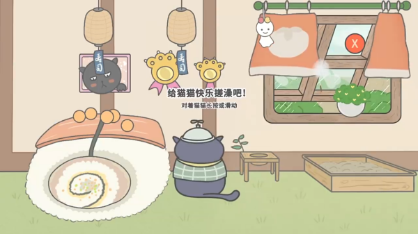 主播和猫的故事