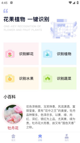 智能遥控器