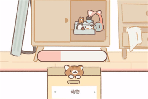 遇见你的猫国际服