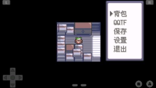 口袋妖怪绿宝石2.0