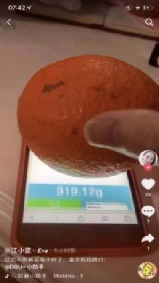 touchscale称重计