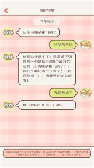 遇见你的猫