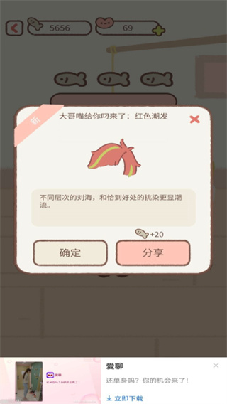 遇见你的猫