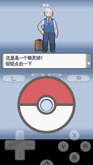 口袋怪兽钻石版
