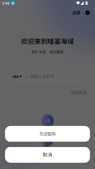 Walsea社交平台