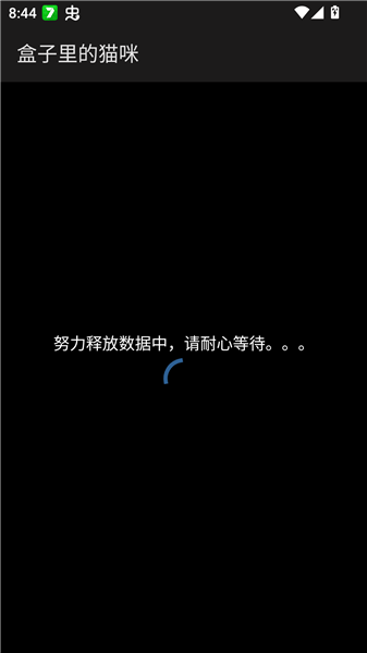 盒子里的猫咪