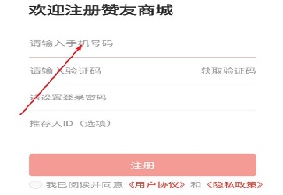赞友商城