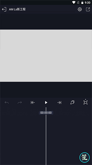 AM Ls