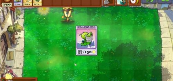 植物大战僵尸无双版
