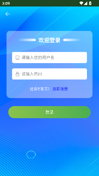 字节电子地图