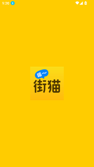 哈啰街猫