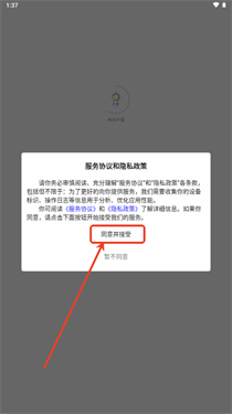 次元岛